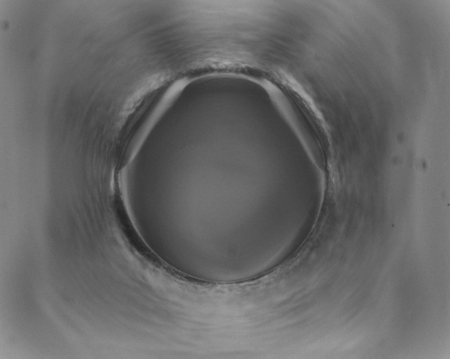 X0000089880019200706281401