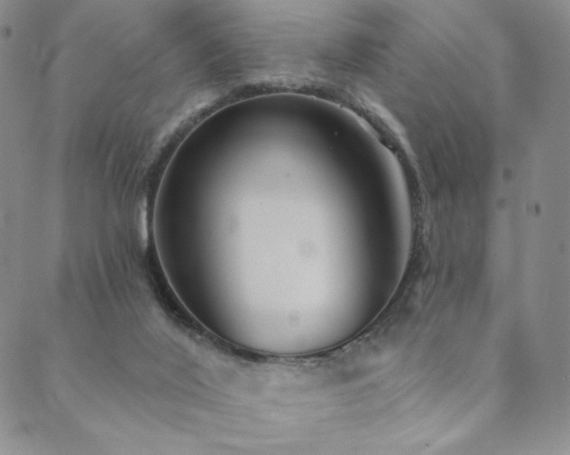 X0000089880020200706281401