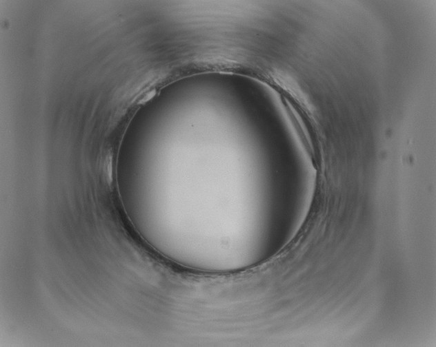 X0000089880021200706281401