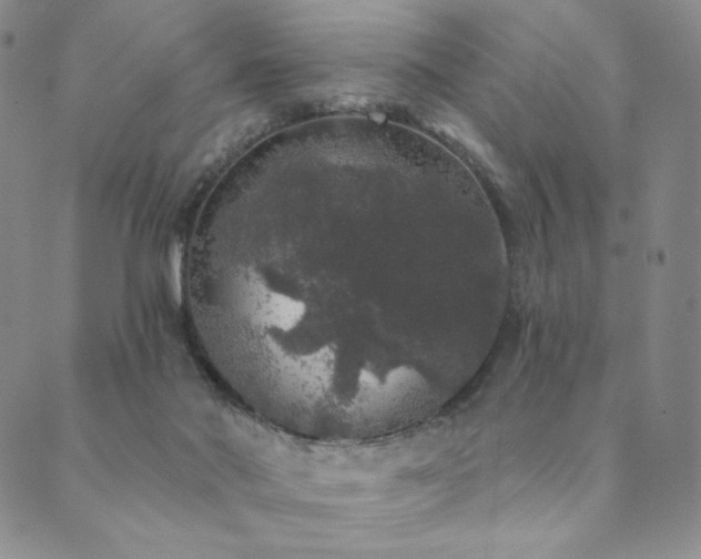 X0000089880022200706281401