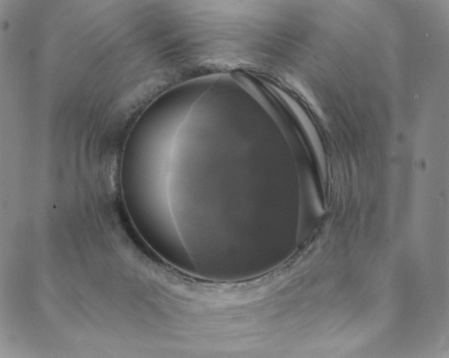 X0000089880023200706281401