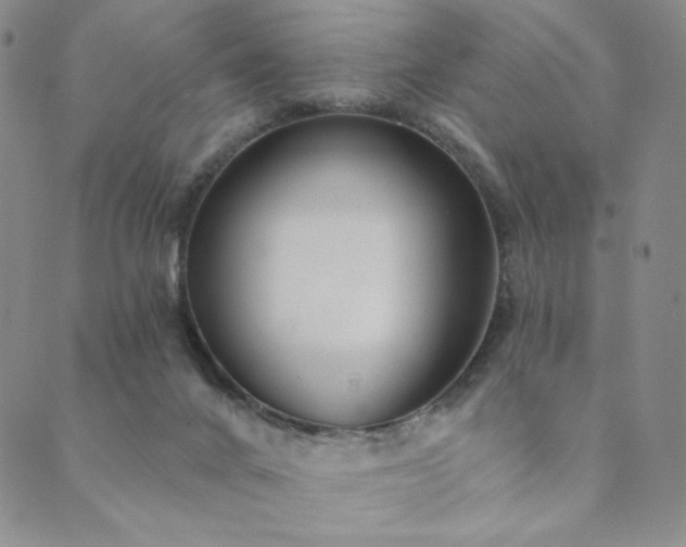 X0000089880024200706281401