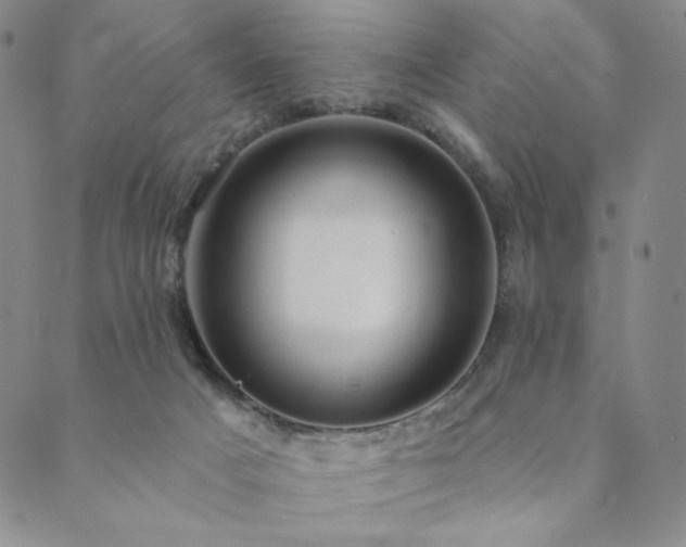 X0000089880025200706281401