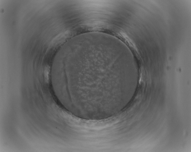 X0000089880026200706281401