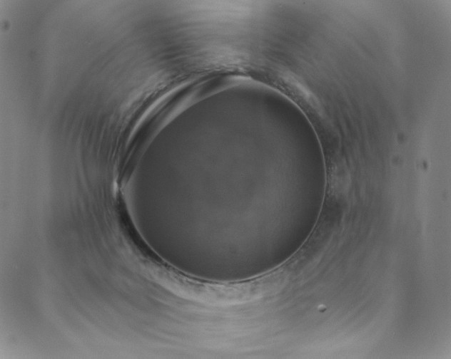 X0000089880027200706281401