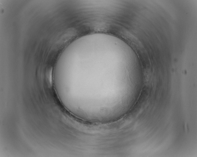 X0000089880028200706281401