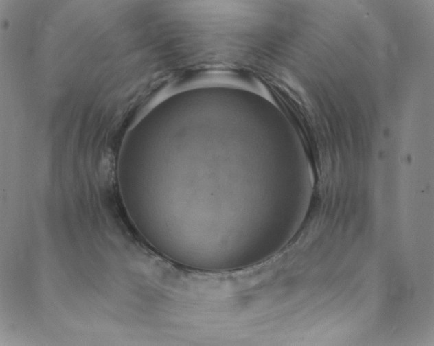 X0000089880029200706281401