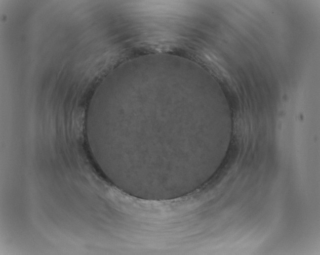 X0000089880030200706281401