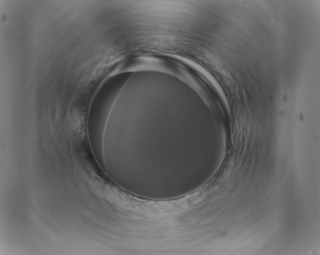 X0000089880031200706281401