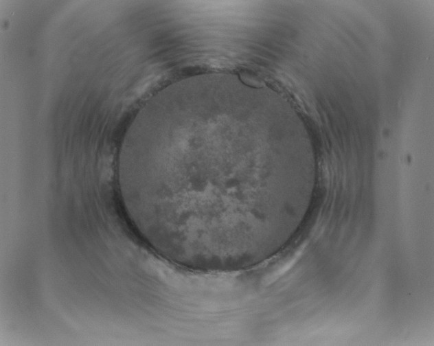 X0000089880032200706281401