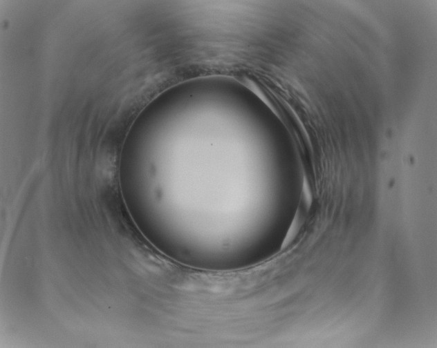 X0000089880033200706281401