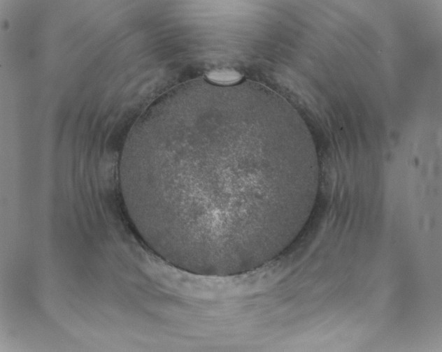 X0000089880034200706281401