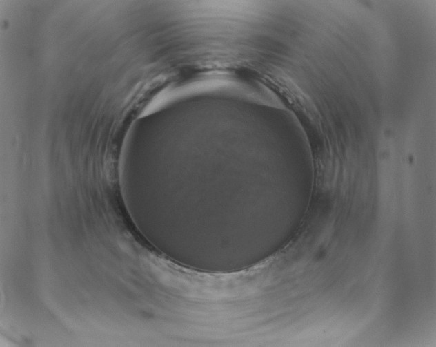 X0000089880035200706281401