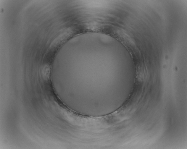 X0000089880036200706281401