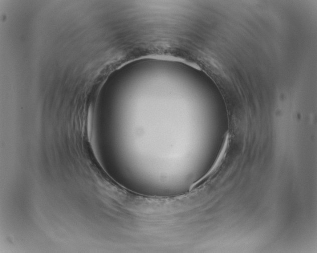 X0000089880037200706281401