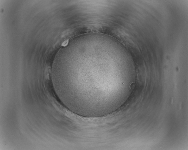 X0000089880038200706281400