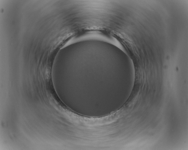 X0000089880039200706281400