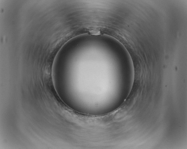 X0000089880040200706281400