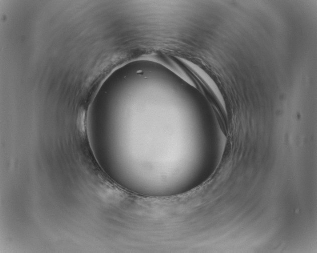 X0000089880041200706281400