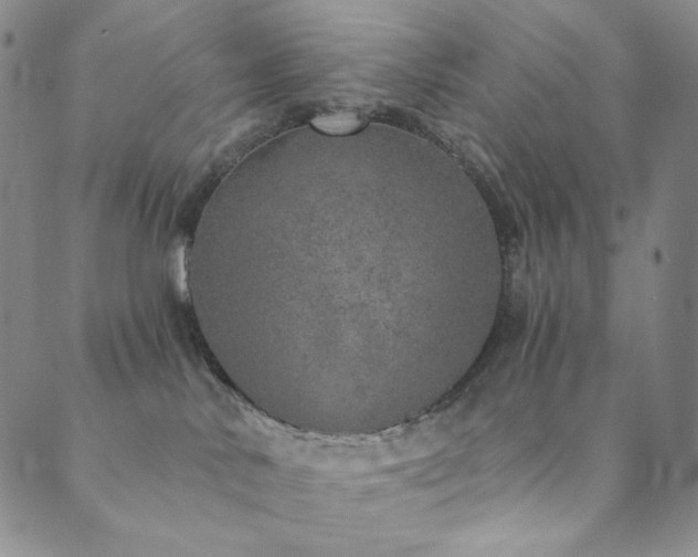 X0000089880042200706281400