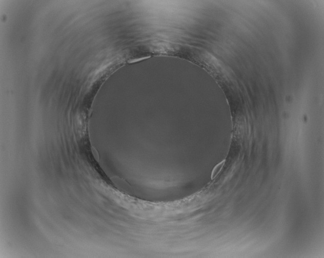 X0000089880043200706281400