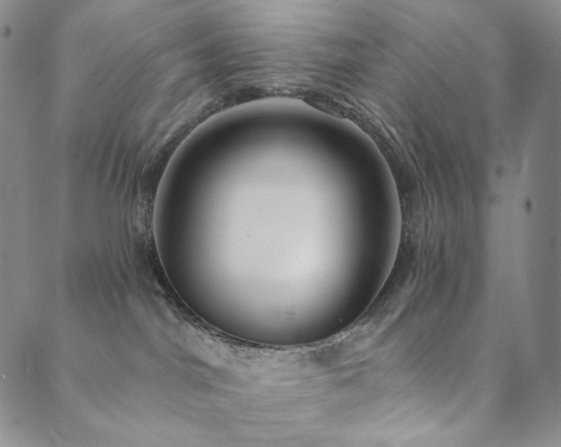 X0000089880044200706281400