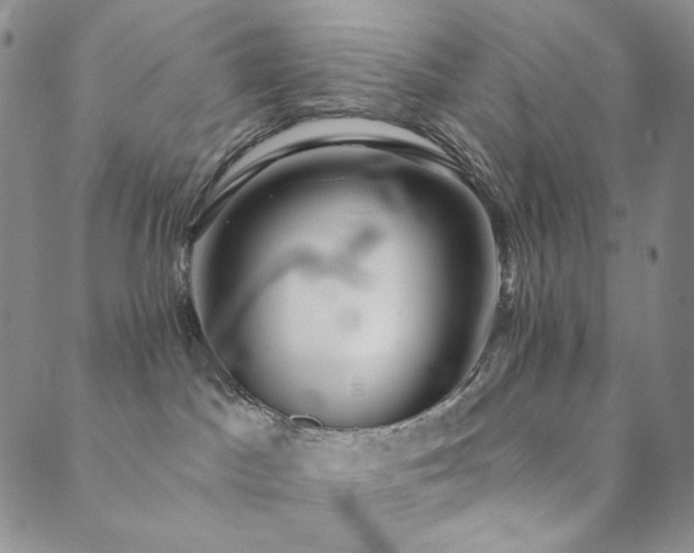 X0000089880045200706281400