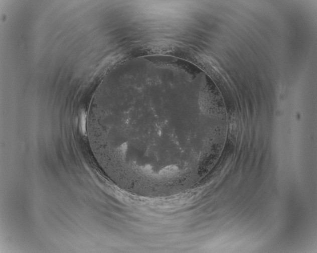 X0000089880046200706281400