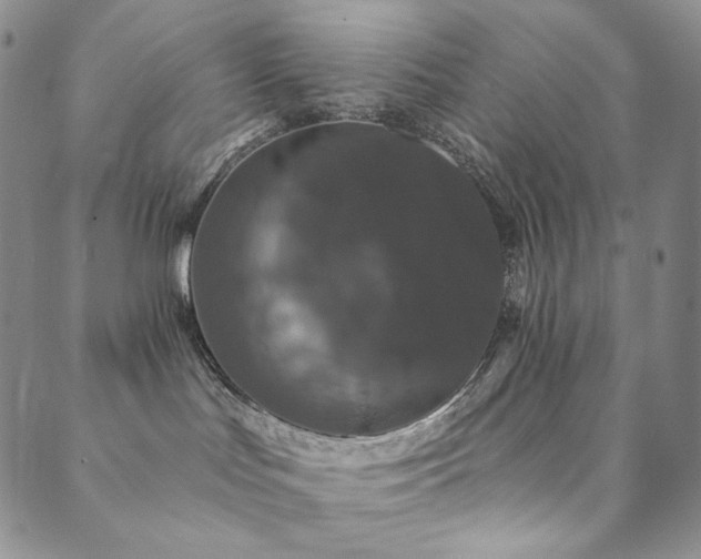 X0000089880047200706281400