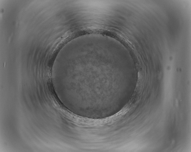 X0000089880048200706281400