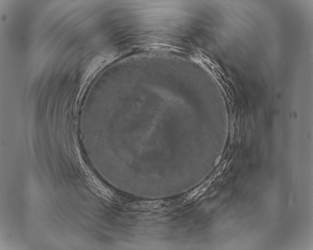 X0000089880049200706281400