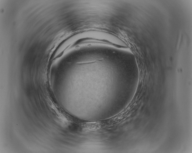 X0000089880050200706281400