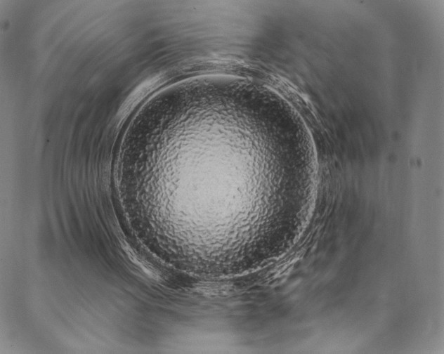 X0000089880051200706281400