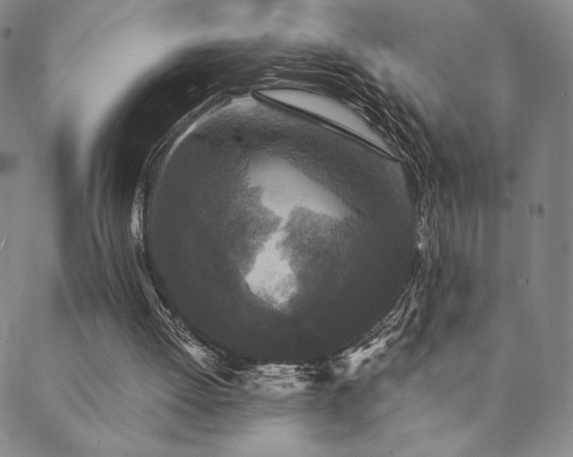 X0000089880052200706281400