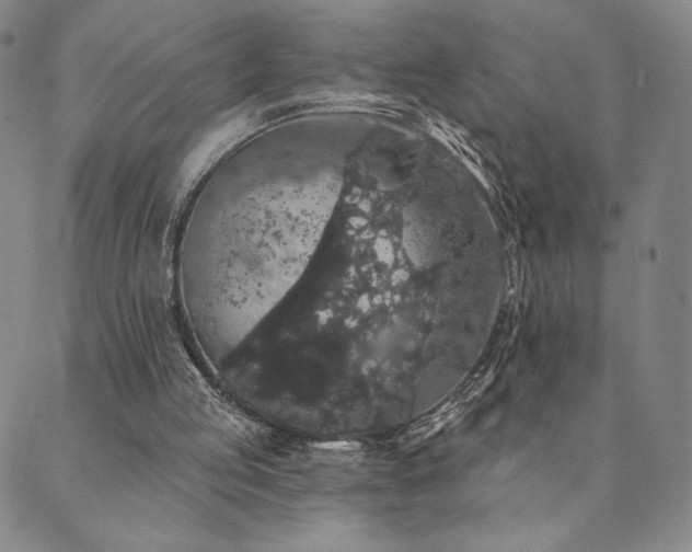 X0000089880053200706281400