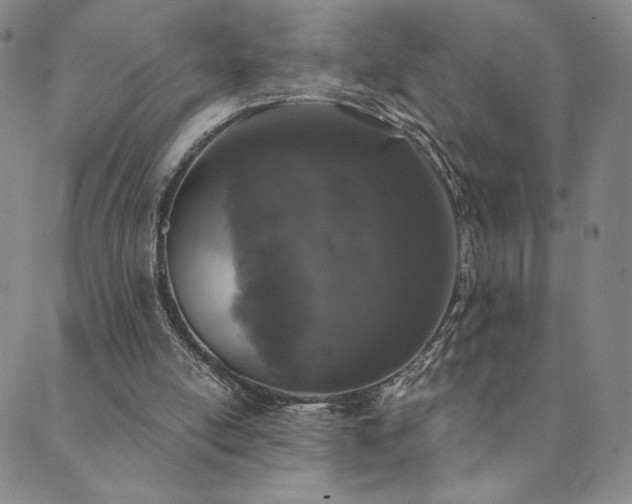 X0000089880054200706281400