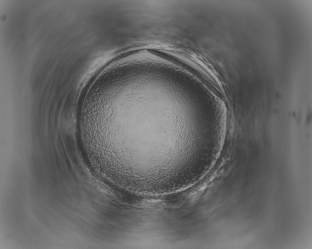 X0000089880055200706281400