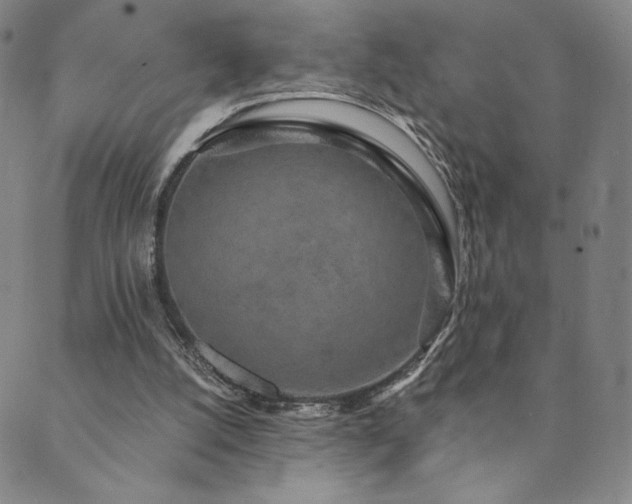 X0000089880056200706281400