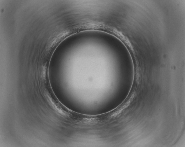 X0000089880057200706281400