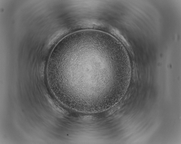 X0000089880058200706281400