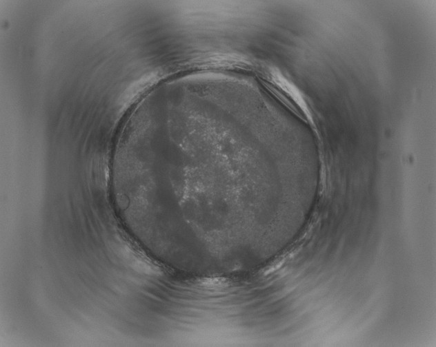 X0000089880059200706281400