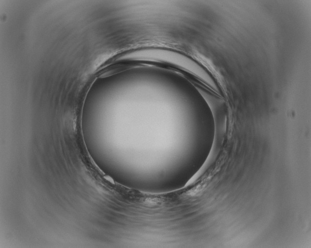 X0000089880060200706281400