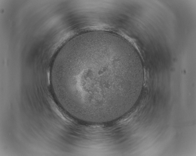 X0000089880061200706281400