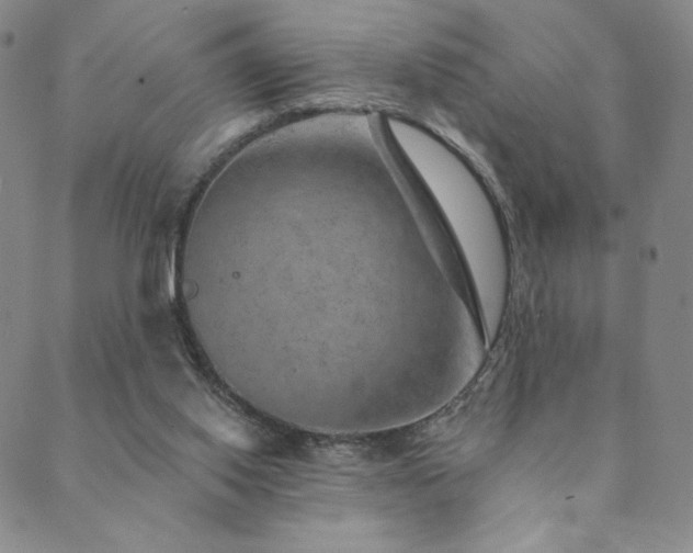 X0000089880062200706281400