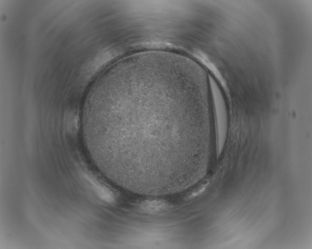 X0000089880063200706281400