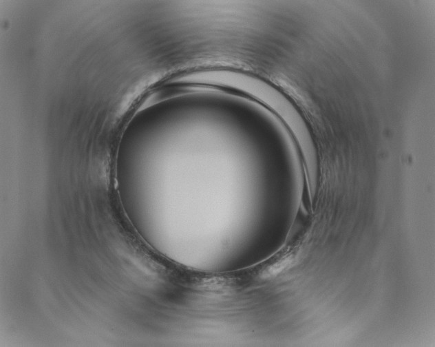 X0000089880064200706281400