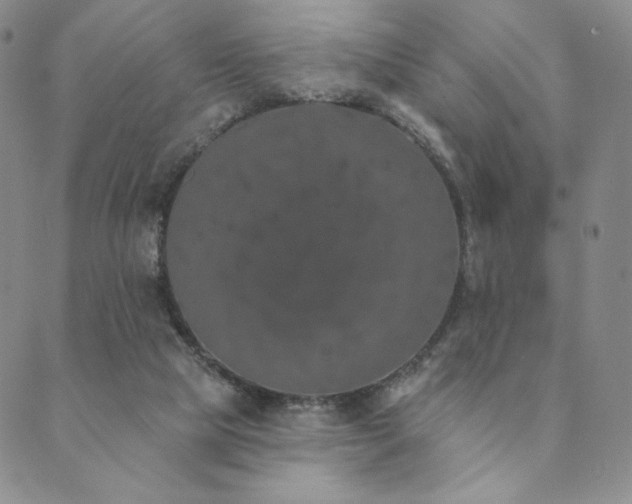 X0000089880065200706281400