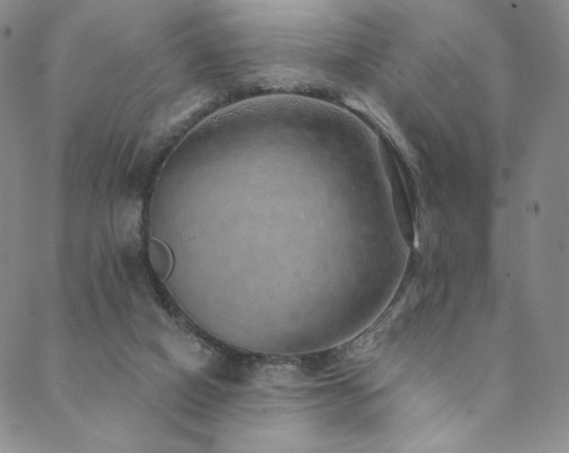 X0000089880066200706281400