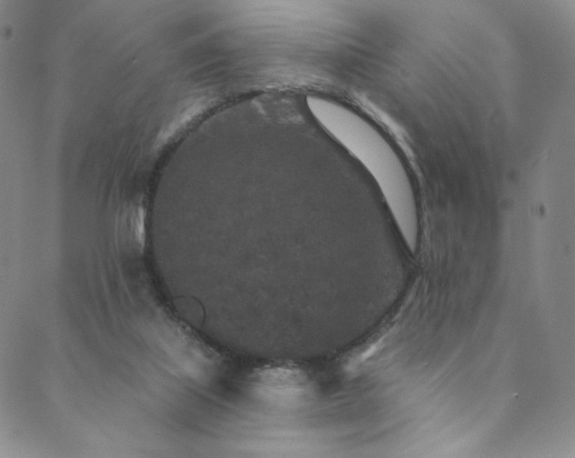 X0000089880067200706281400