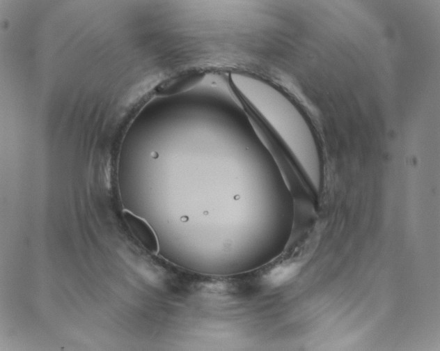 X0000089880068200706281400